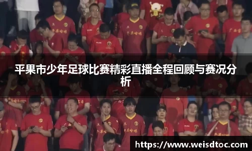 平果市少年足球比赛精彩直播全程回顾与赛况分析